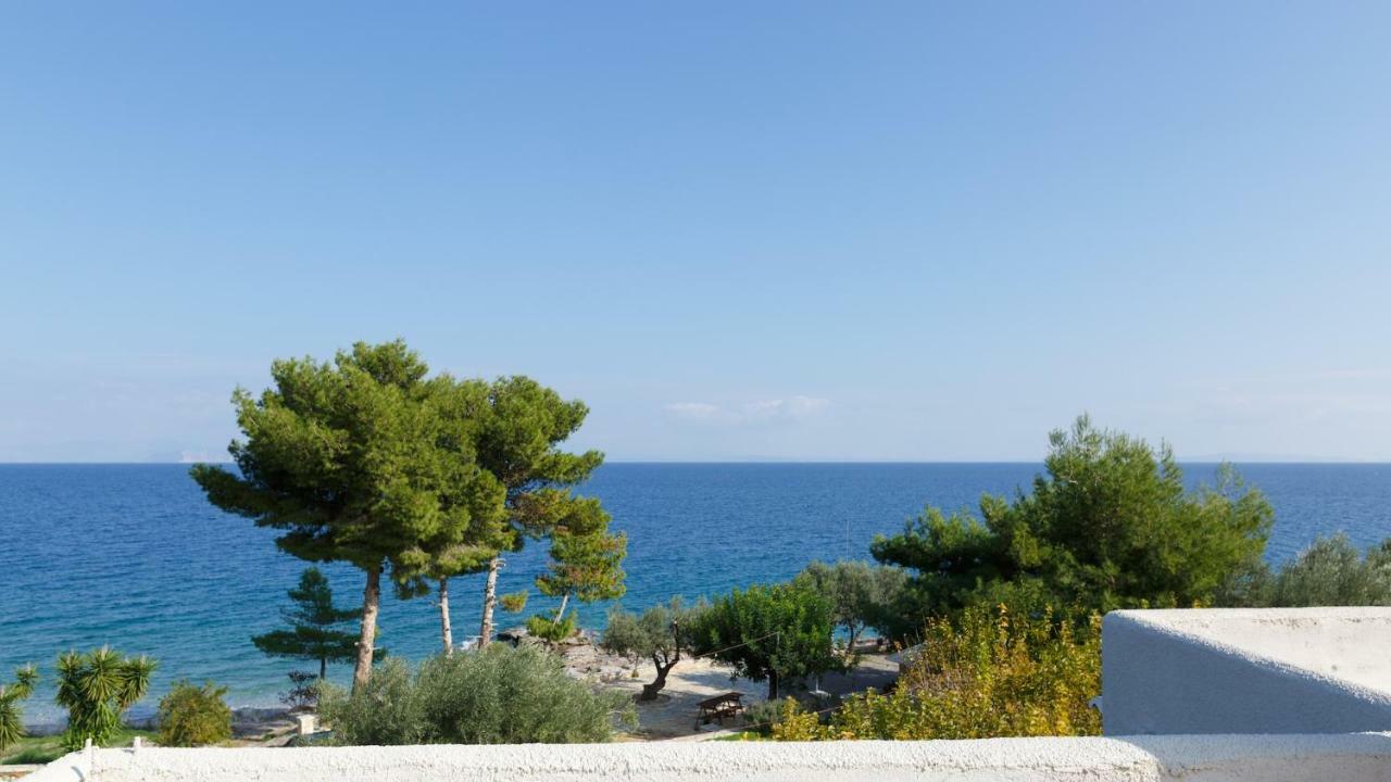 Into The Blue Villa Arkadiko Chorio Esterno foto